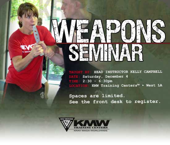 Weapon's Seminar