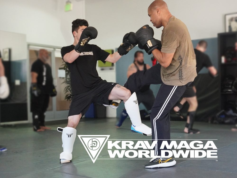 Krav Maga fight training.